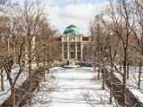 Bare tulip trees next to snow covered grass, and a pathway leading up to the Mertz Library building