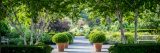 Small, potted green bushes on a grey pathway surrounded two wooden benches and green trees and bushes.