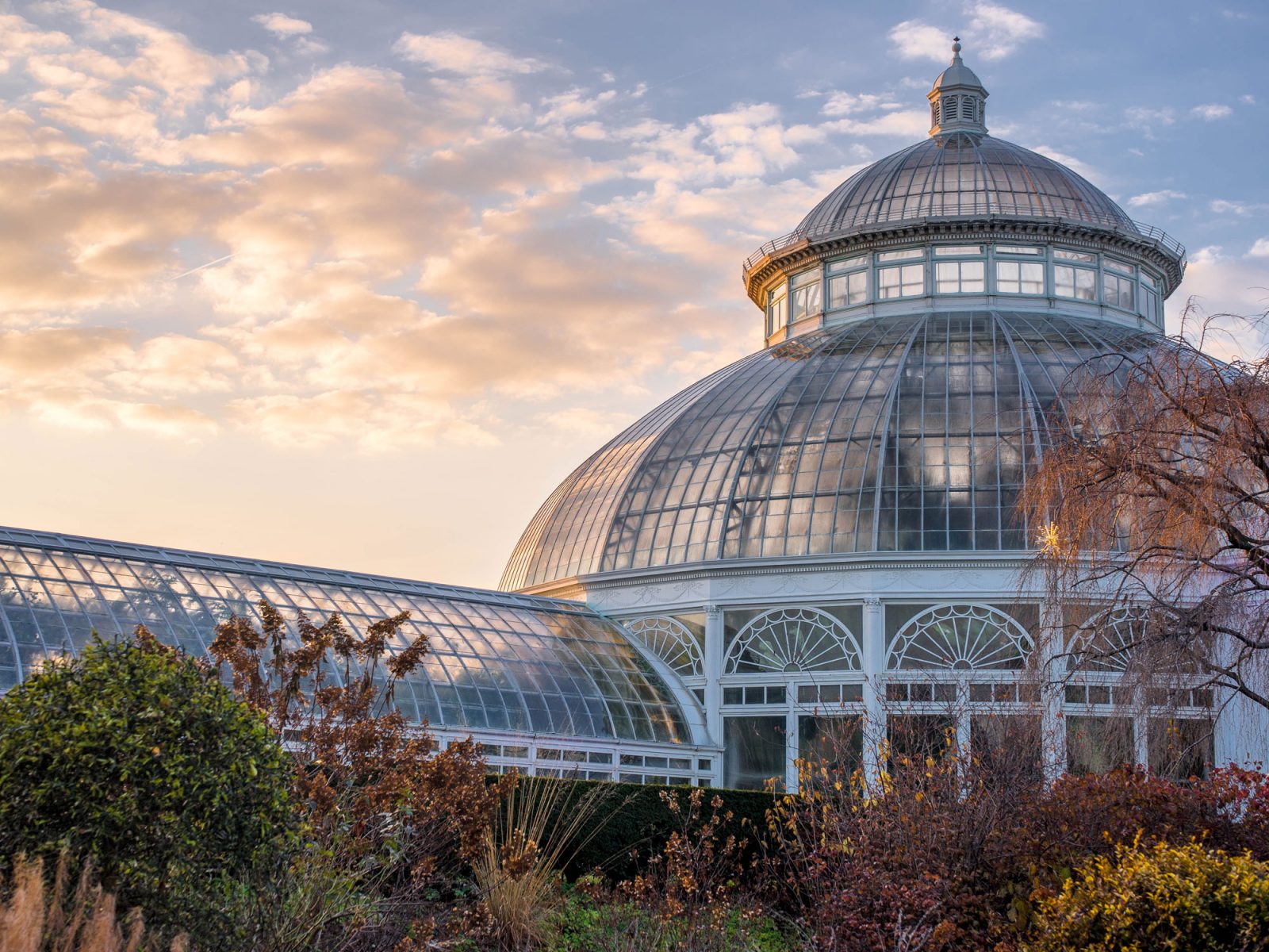 Conservatory » New York Botanical Garden
