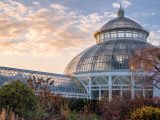 Sunset behind the Palm Dome and brown and green shrubs