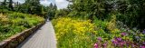 Seasonal Walk surrounded by yellow, pink, and purple flowers