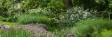 Green bushes, grass and trees with small pink and white flowers surrounding a short foot bridge.