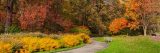 Long grey path surrounded by green grass, tall trees and small bushes all turning shades of orange, gold, green and burgundy.