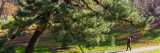 Visitor walking down grey pathway surrounded by green grass and trees with leaves turning shades of gold and orange.