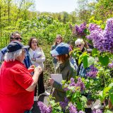 group fo people standing around a purple flowered lilac bush