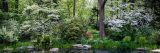 Small area of water surrounded by white flowering trees, green grass and small grey rocks.