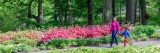 Mom and son walking through the Azalea Garden