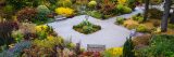 Grey pathway surrounded by small bushes turning shades of yellow, burgundy, green and purple with three wooden benches in each corner.