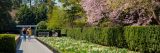 2 visitors walking down the walkway with yellow and white flowers to the right of them