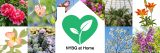 A variety of tiled images of spring flowers with a white illustration of a home in the center, housing a green heart with a sprout growing inside, along with the words