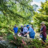 A class looking at shady plants