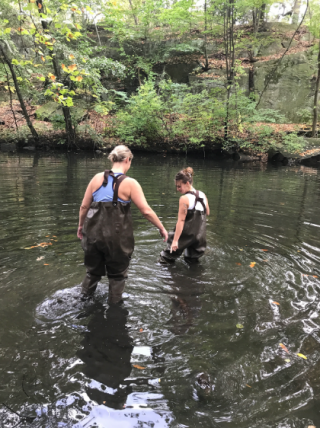 Photo of teachers wading into the Bronx River