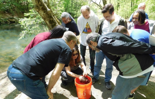 Photo of teachers examining a leaf pack