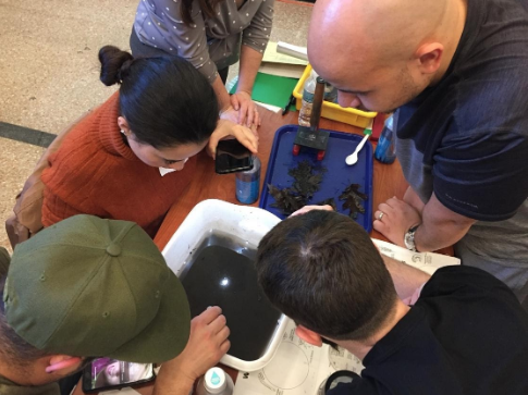 Photo of teachers examining a leaf pack