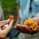 Two students holding mushrooms