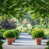 Perennial Garden Way