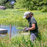 Photo of a horticulturist in the Native Plant Garden