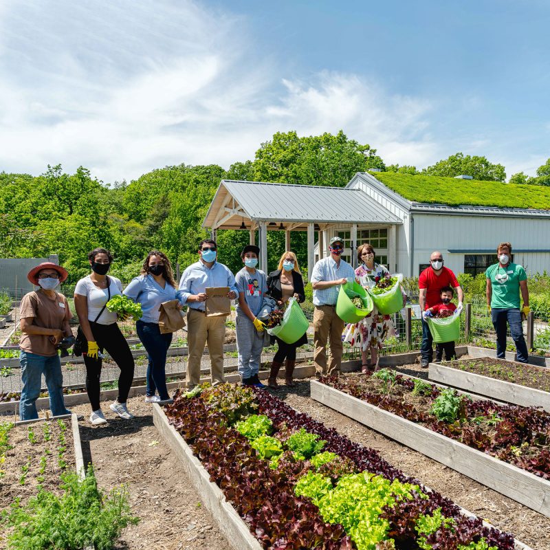 Photo of councilmembers in the Edible Academy