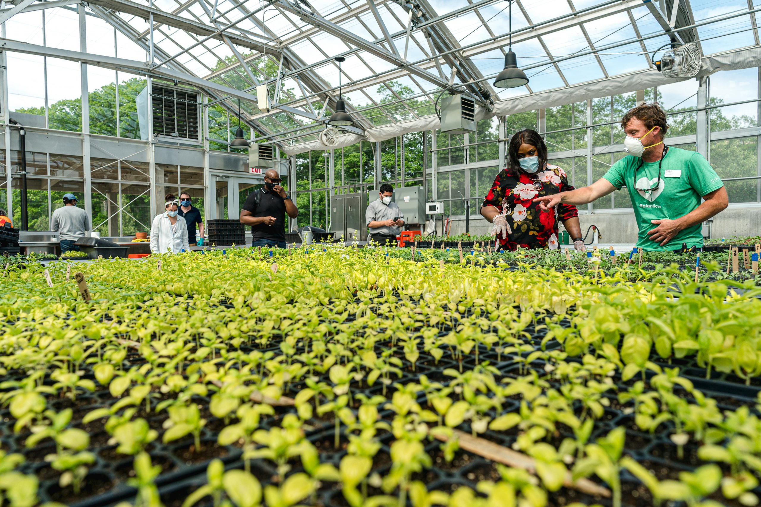 Photo of people working in the greenhouse