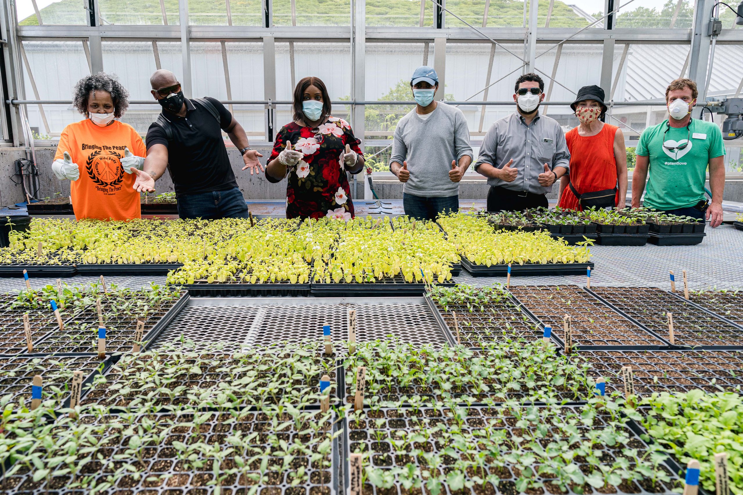 Photo of the Edible Academy greenhouse