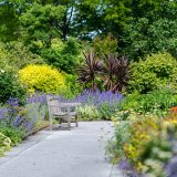 Perennial Garden with an empty bench
