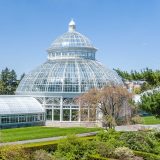 Conservatory Palm Dome