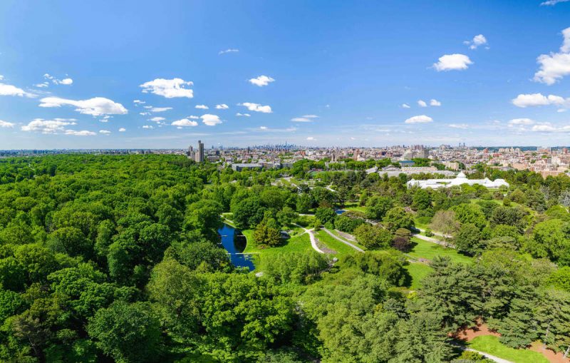 Overhead photo of NYBG in spring