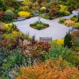 Perennial Garden