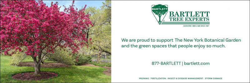 Bartlett Tree Experts