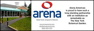 Arena ad