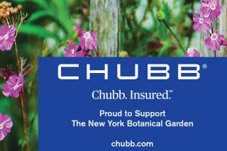 Chubb Ad