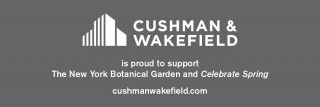 Cushman & Wakefield Ad