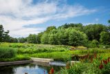 Waterfall at the Native Plant Garden