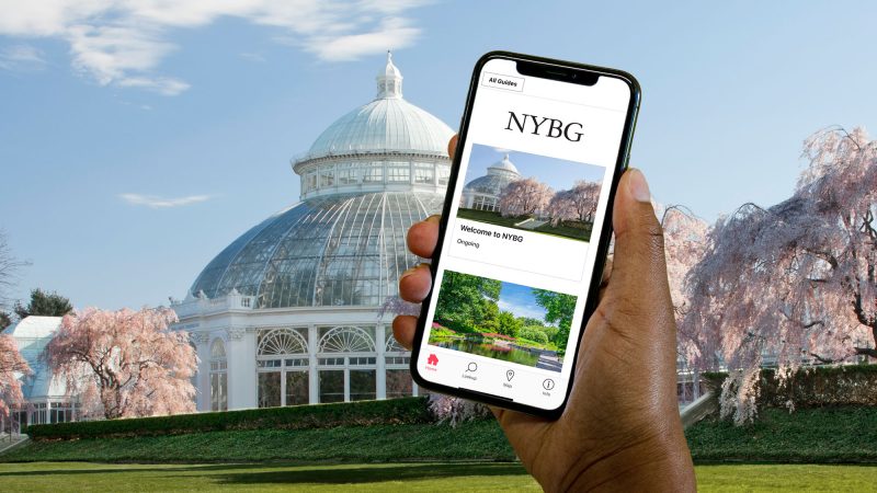 A hand holding a cell phone using the Bloomberg Connects App in front of the Conservatory in spring