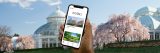 A hand holding a cell phone using the Bloomberg Connects App in front of the Conservatory in spring