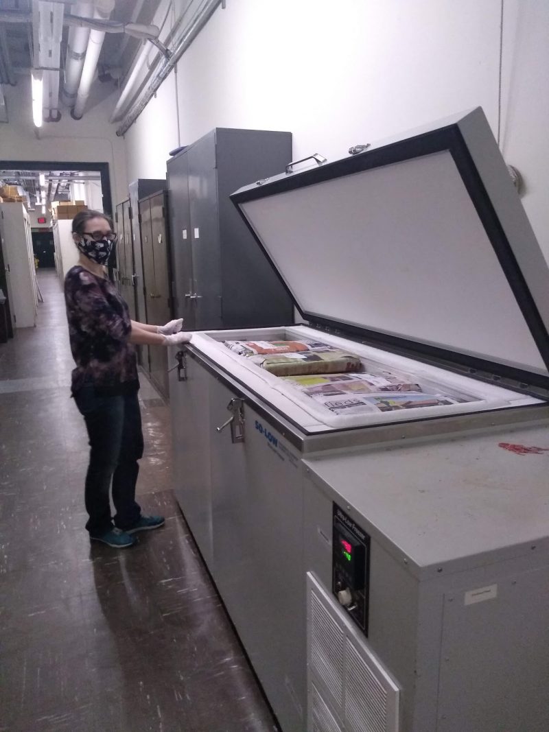 Herbarium Shipping Manager Lucy Klebieko, getting ready to remove specimens from freezer.