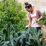 A woman in a garden