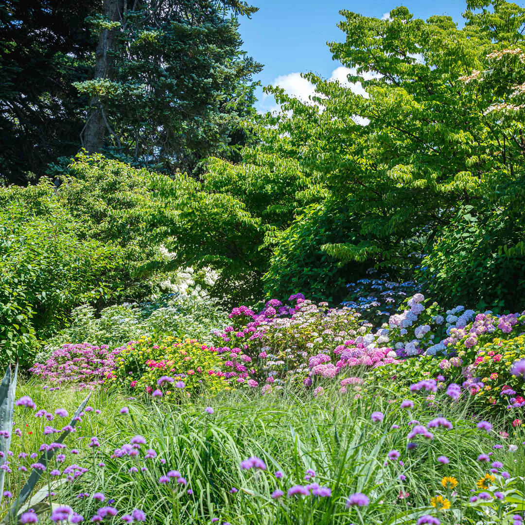 Photo of The Home Gardening Center