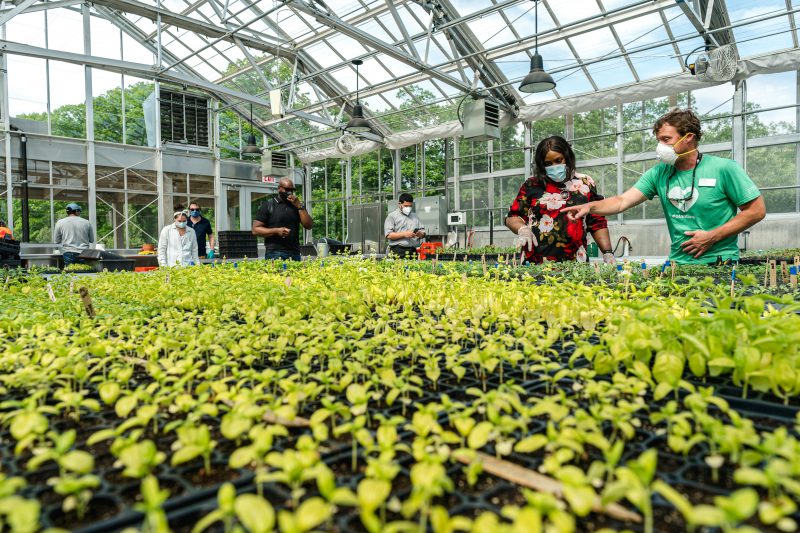 Photo of the Edible Academy Greenhouse