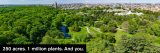 Drone footage of NYBG with NYC in the background