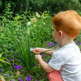 Child investigating a plant with a microscope