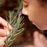 A young girl smelling a plant