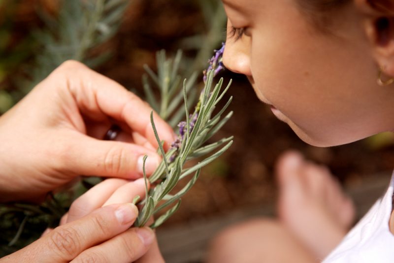 Photo of a child smelling a plant