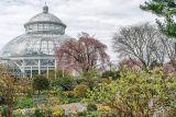 Conservatory with plants