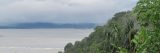 The amazon rainforest with clouds and water in the background
