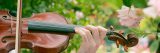 Someone playing a violin in the Rose Garden