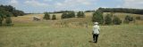 Photo of a woman walking in a field