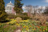 a glasshouse dome with a garden with yellow and red flowers in the foreground