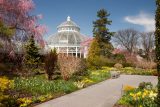 gray pavement and green and yellow flowers in foreground and the dome of a greenhouse in the background