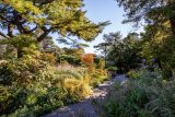 view of a garden in fall